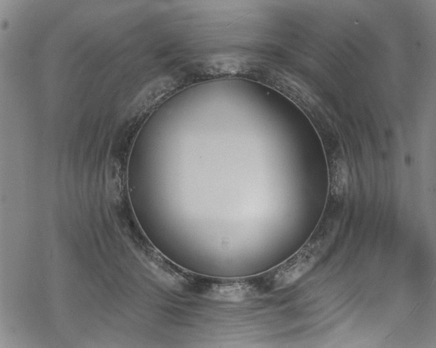 X0000068840414200605051307