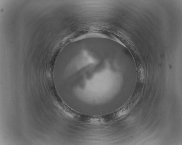 X0000068840415200605051307