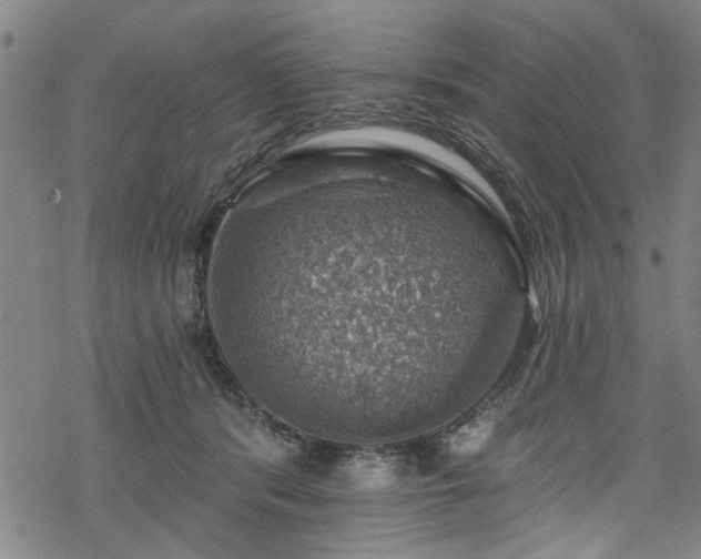 X0000068840416200605051307