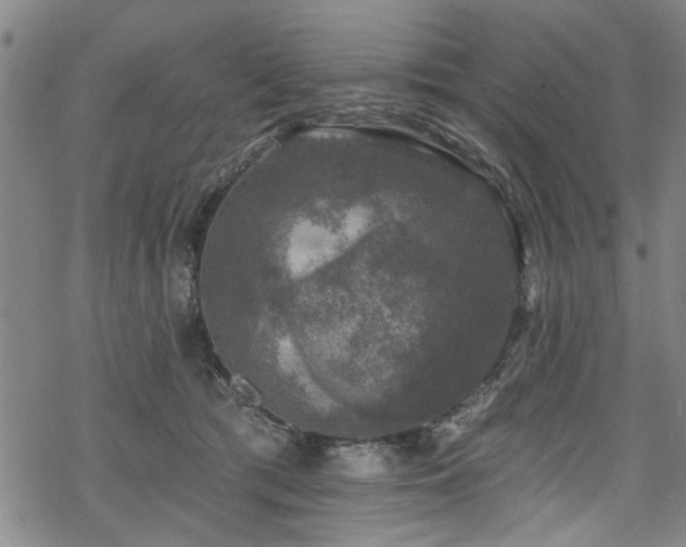 X0000068840417200605051307