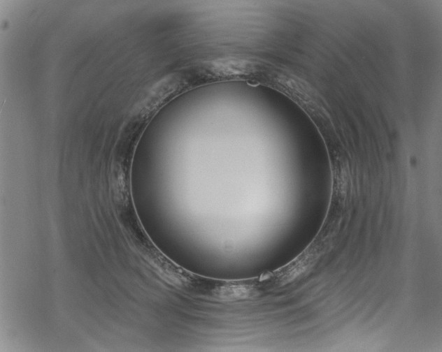 X0000068840418200605051307