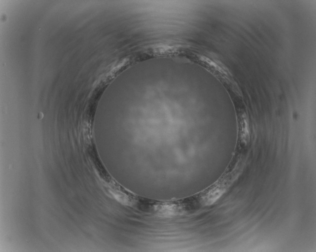 X0000068840419200605051307