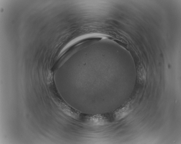 X0000068840420200605051307