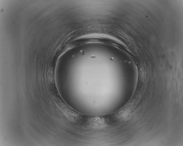 X0000068840421200605051307