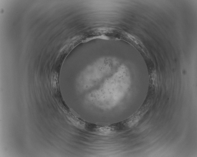 X0000068840423200605051306