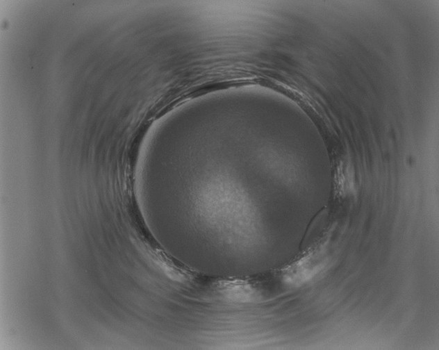 X0000068840424200605051306