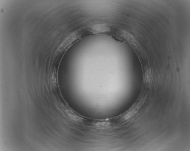 X0000068840426200605051306