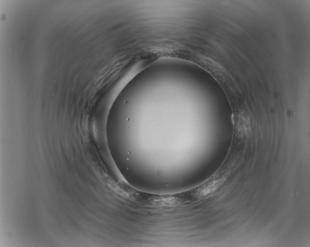 X0000068840428200605051306