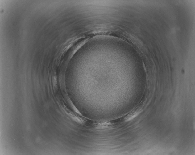 X0000068840432200605051306