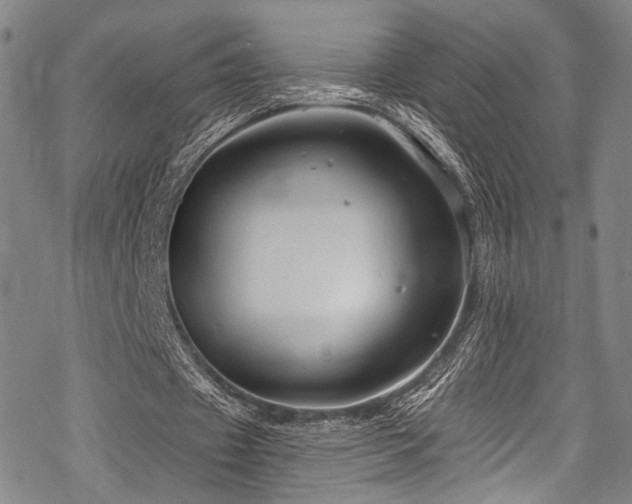 X0000068840433200605051306