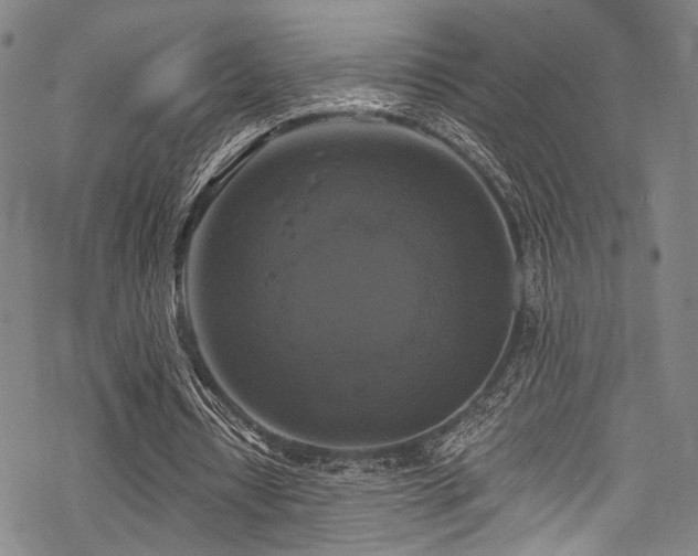 X0000068840434200605051306