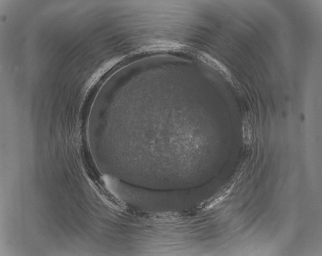 X0000068840436200605051306