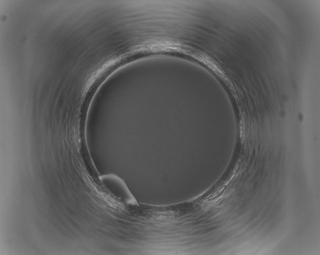 X0000068840438200605051306