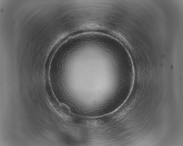 X0000068840439200605051306