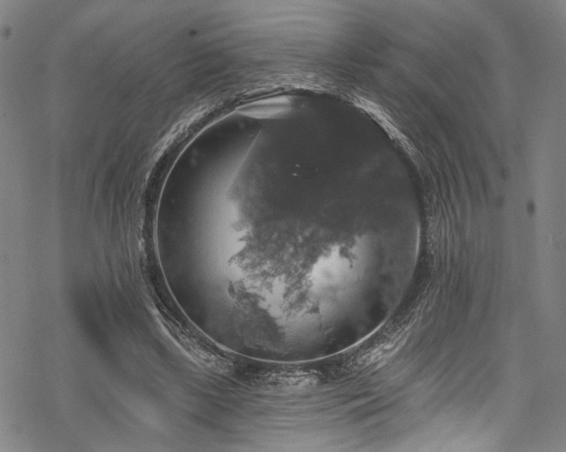 X0000068840443200605051306