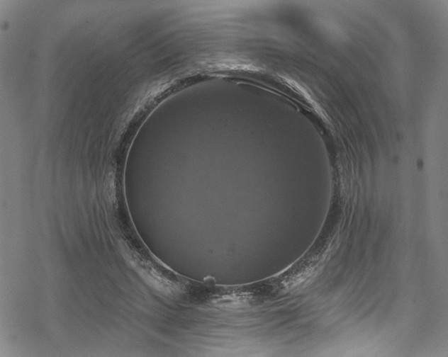 X0000068840447200605051306