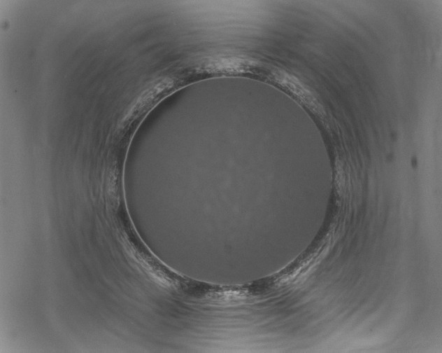 X0000068840449200605051306