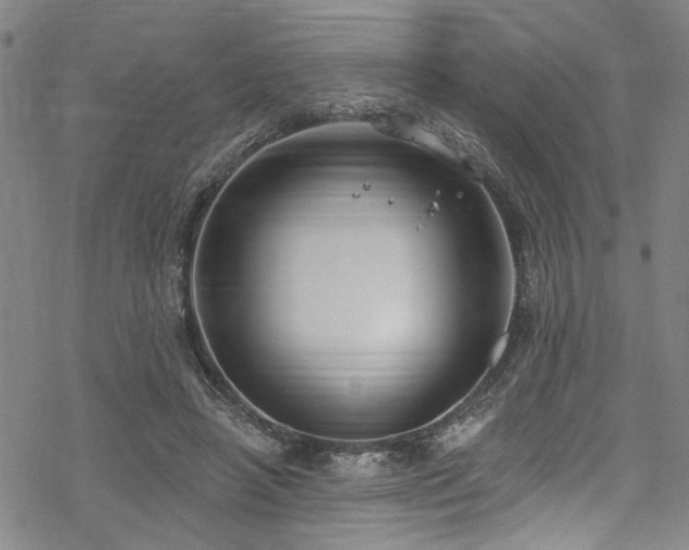 X0000068840450200605051306