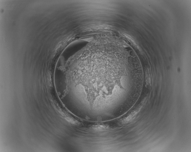 X0000068840453200605051306