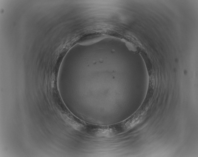 X0000068840458200605051306