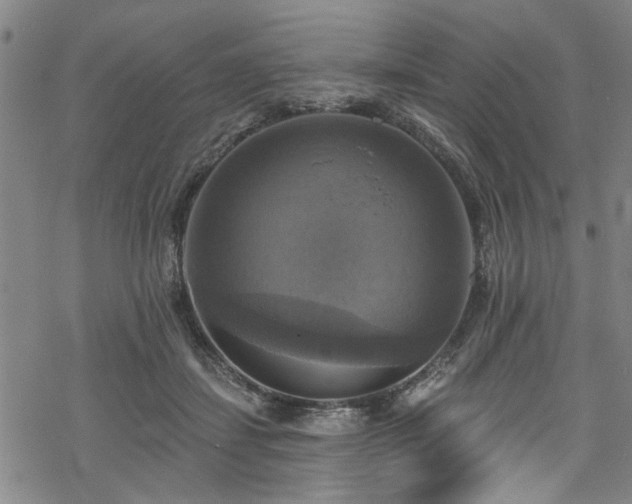 X0000068840459200605051306