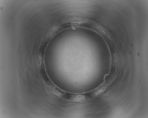 X0000068840463200605051306