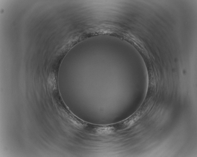 X0000068840465200605051306