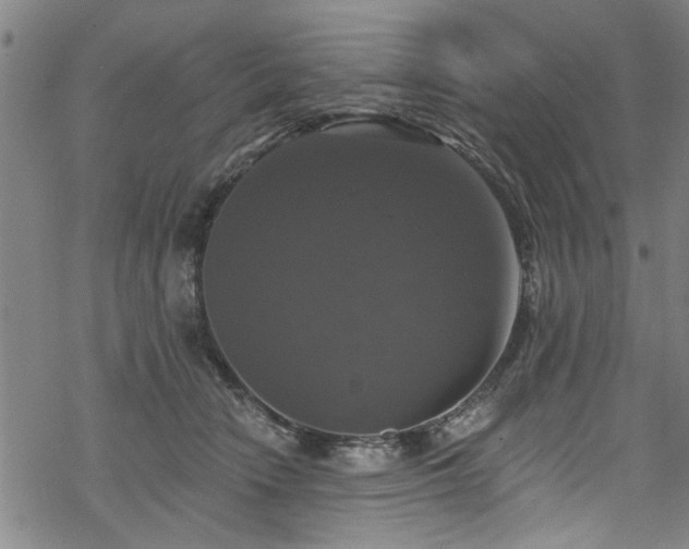 X0000068840466200605051306