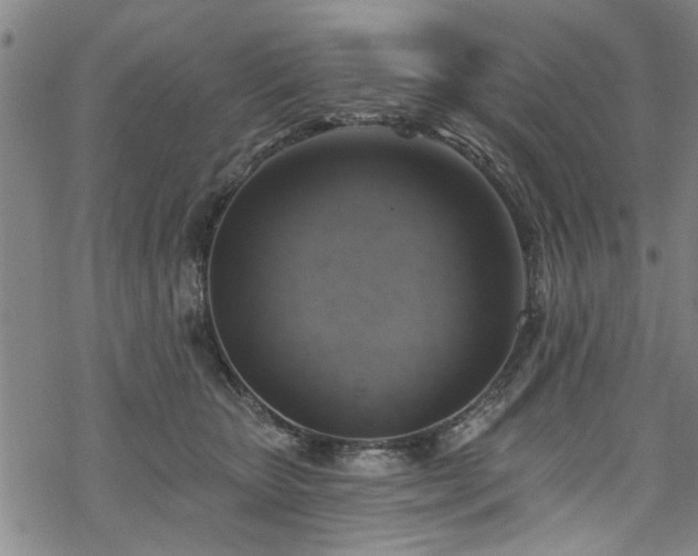 X0000068840467200605051306