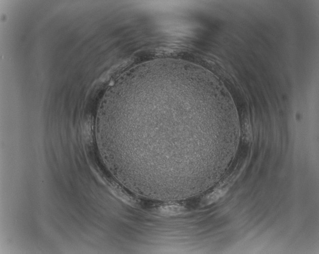 X0000068840468200605051306