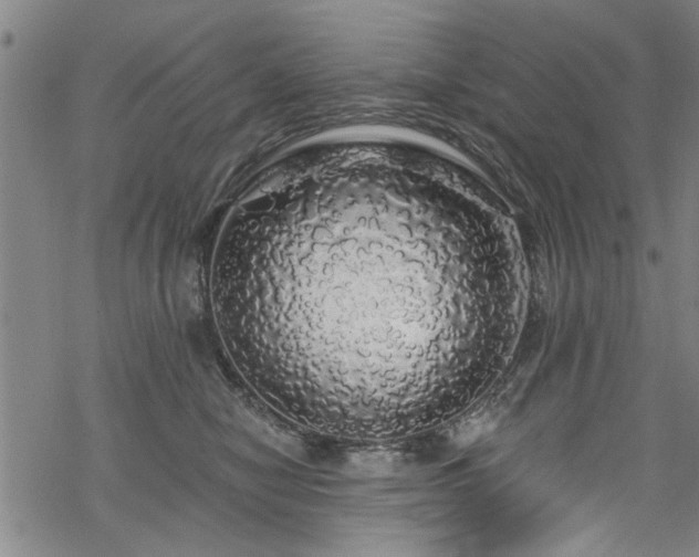 X0000068840470200605051306