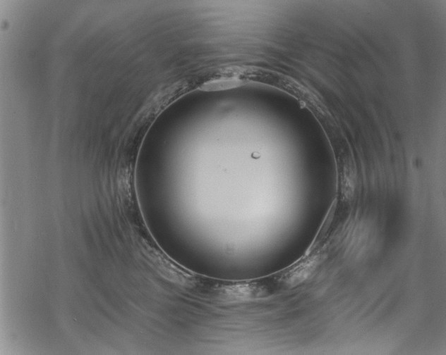 X0000068840473200605051306