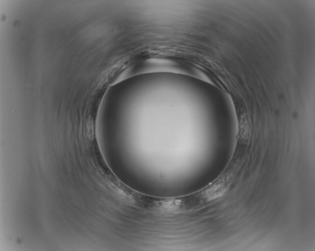 X0000068840474200605051306