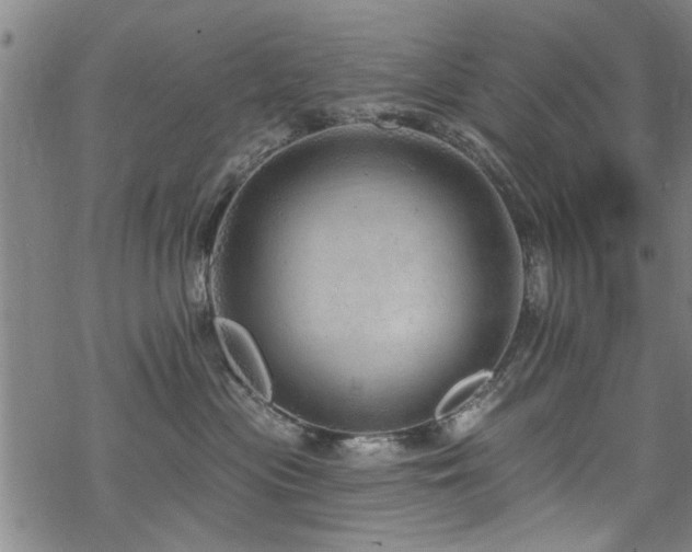 X0000068840477200605051306