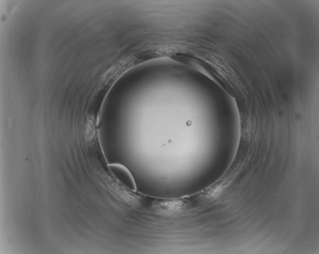 X0000068840478200605051306