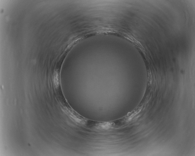 X0000068840479200605051306