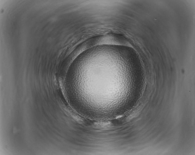 X0000068840480200605051306