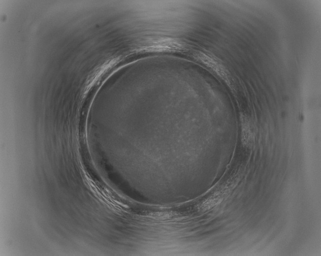 X0000068840482200605051306