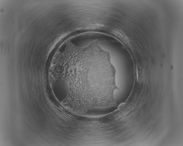 X0000068840483200605051305