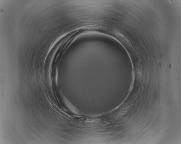 X0000068840484200605051305