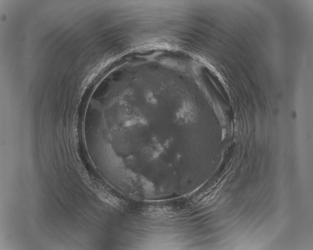 X0000068840487200605051305