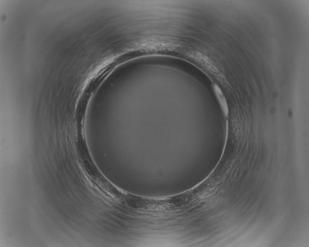 X0000068840488200605051305