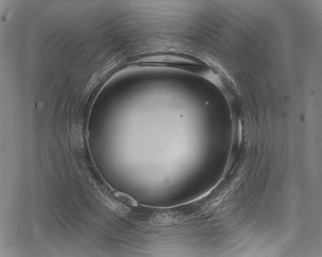 X0000068840489200605051305