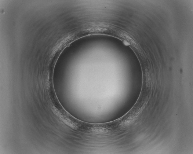 X0000068840490200605051305