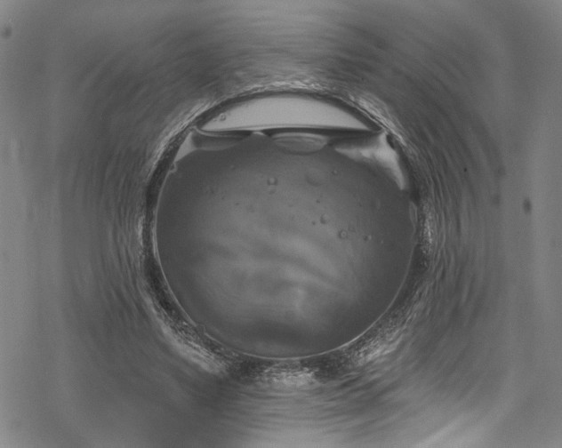 X0000068840491200605051305