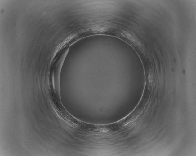 X0000068840492200605051305