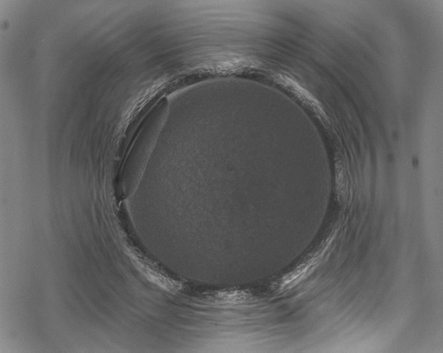 X0000068840493200605051305