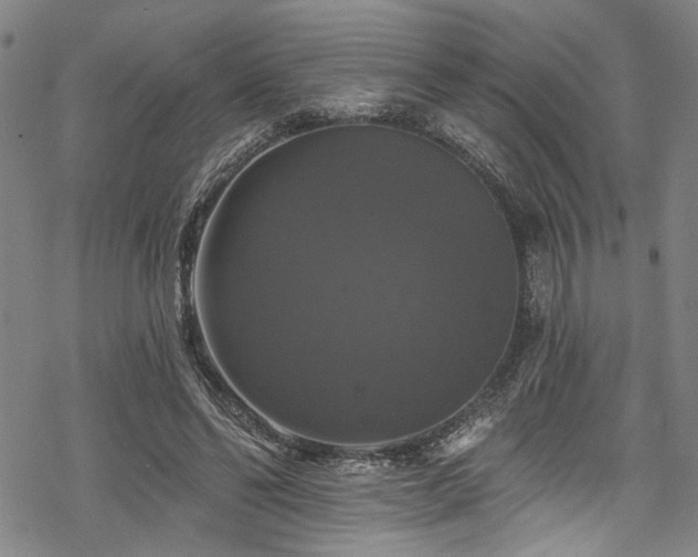 X0000068840494200605051305