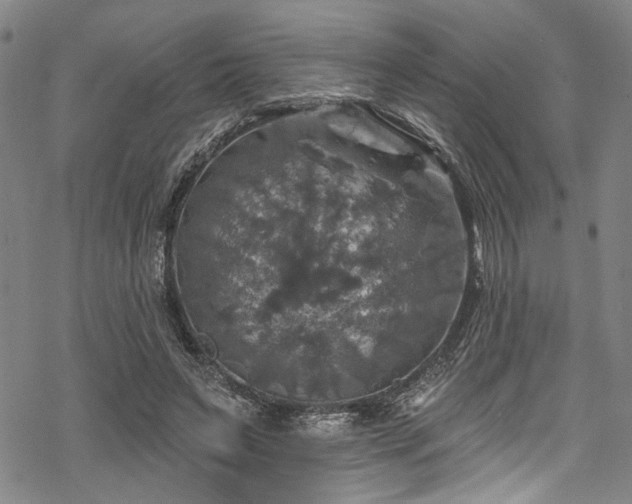 X0000068840495200605051305