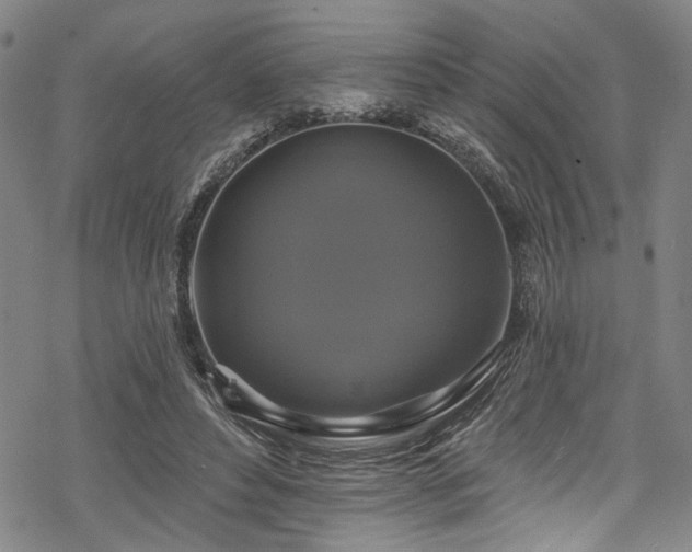 X0000068840496200605051305